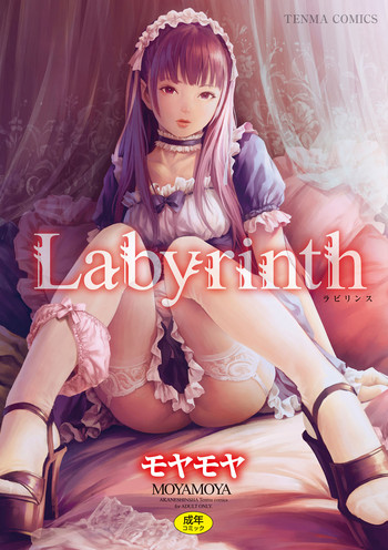 [モヤモヤ] Labyrinth [DL版]