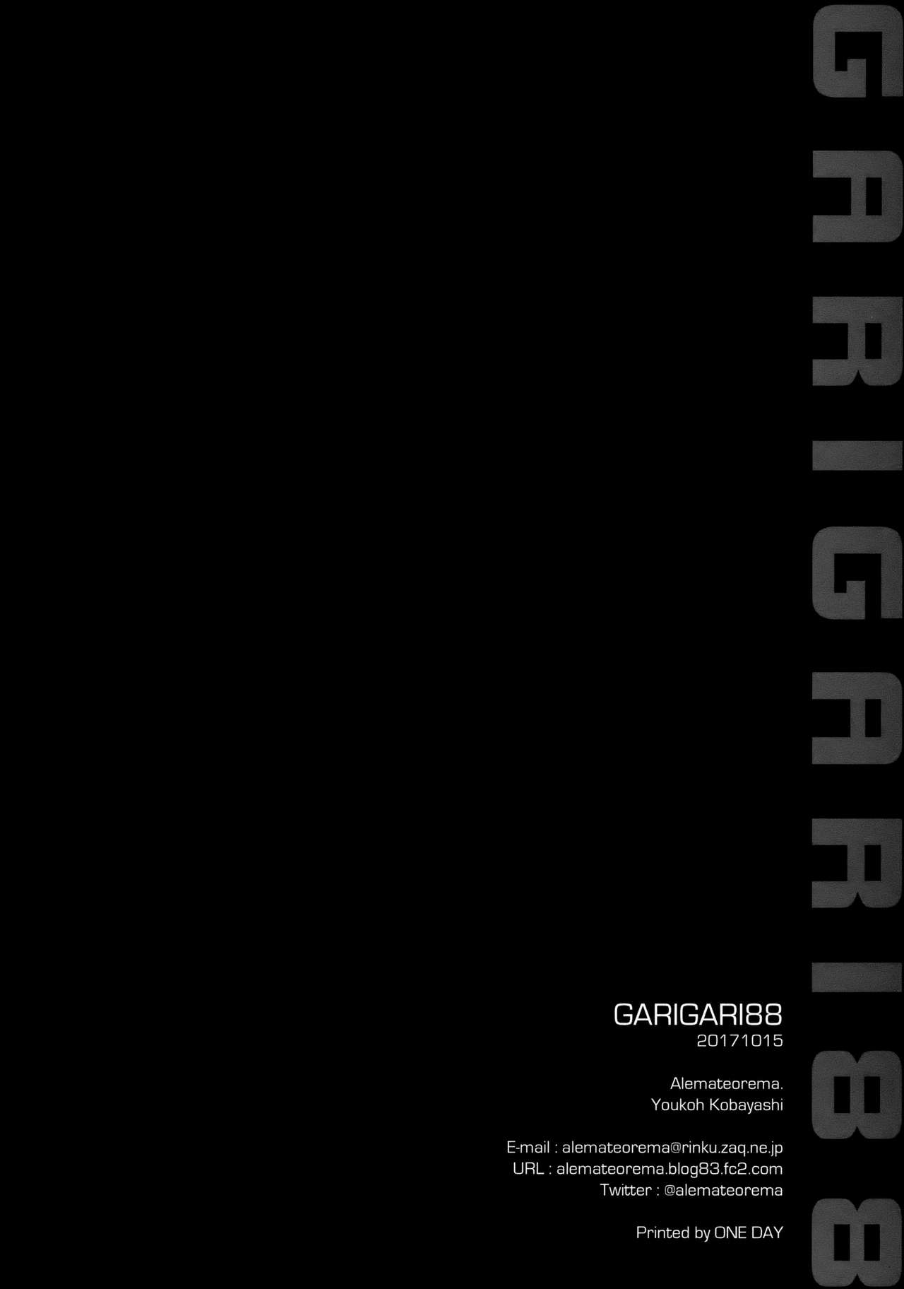 (秋季例大祭4) [アレマテオレマ (小林由高)] GARIGARI88 (東方Project)