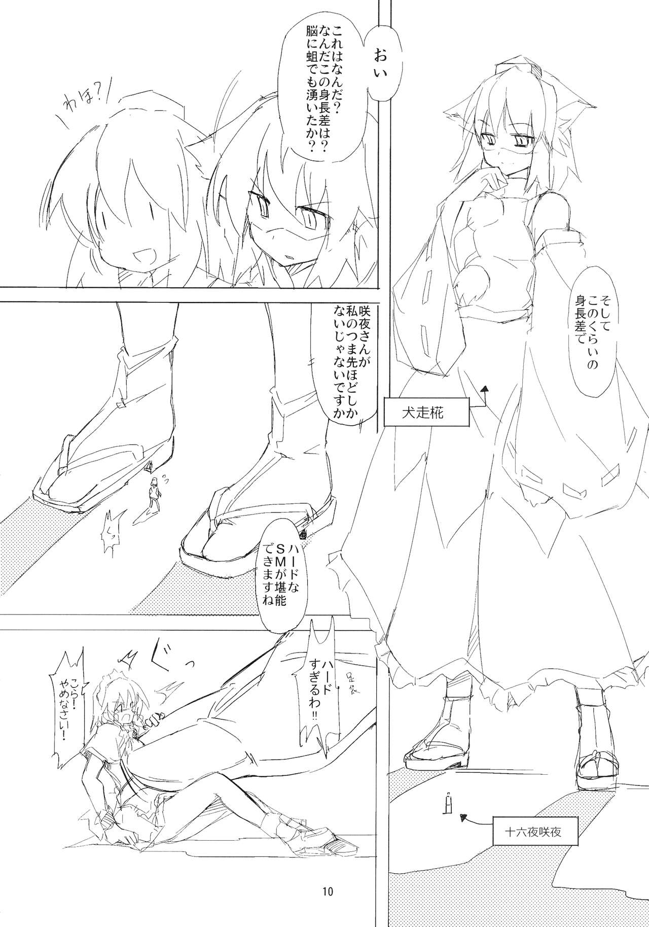 (例大祭14) [TEDDY-PLAZA (瀬尾辰也)] 射命丸教授の比率的愛情 (東方Project)