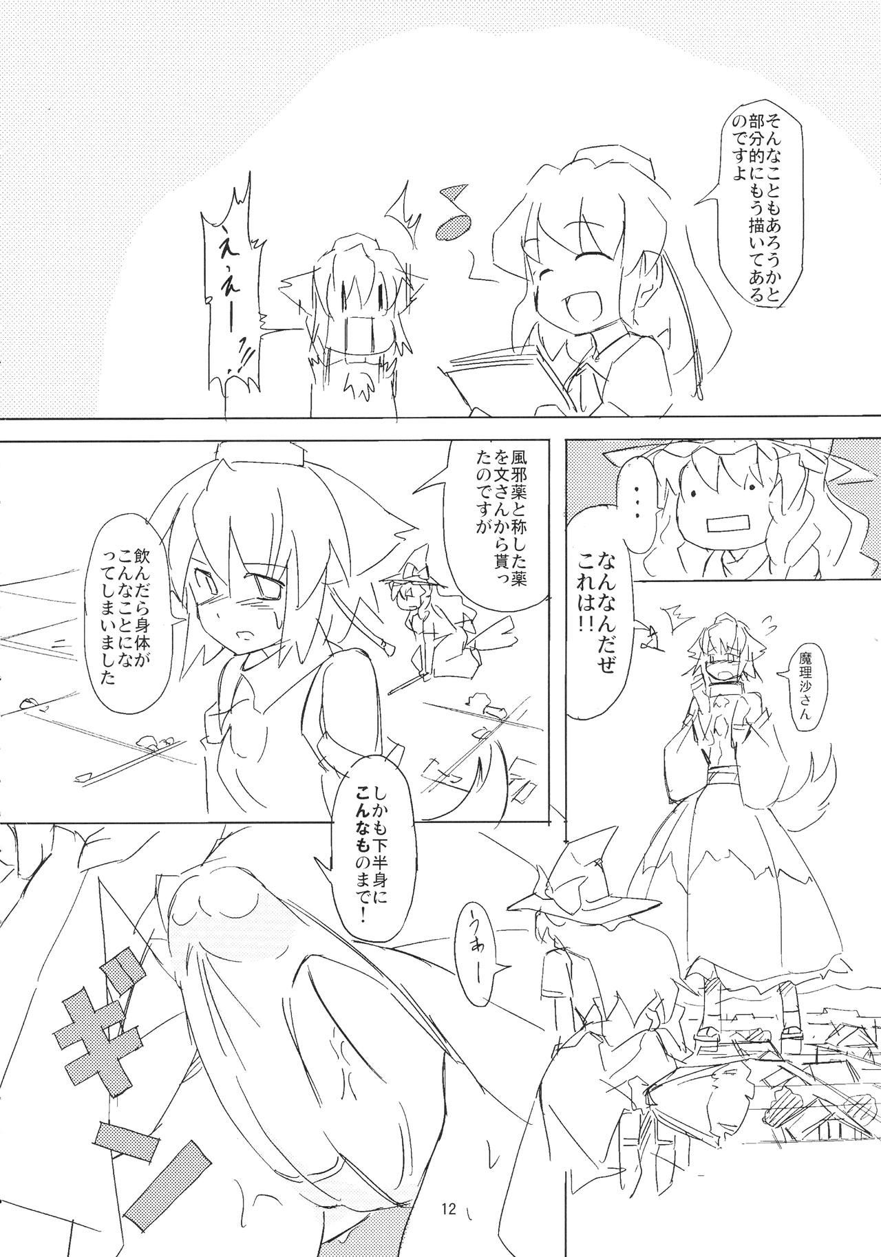 (例大祭14) [TEDDY-PLAZA (瀬尾辰也)] 射命丸教授の比率的愛情 (東方Project)