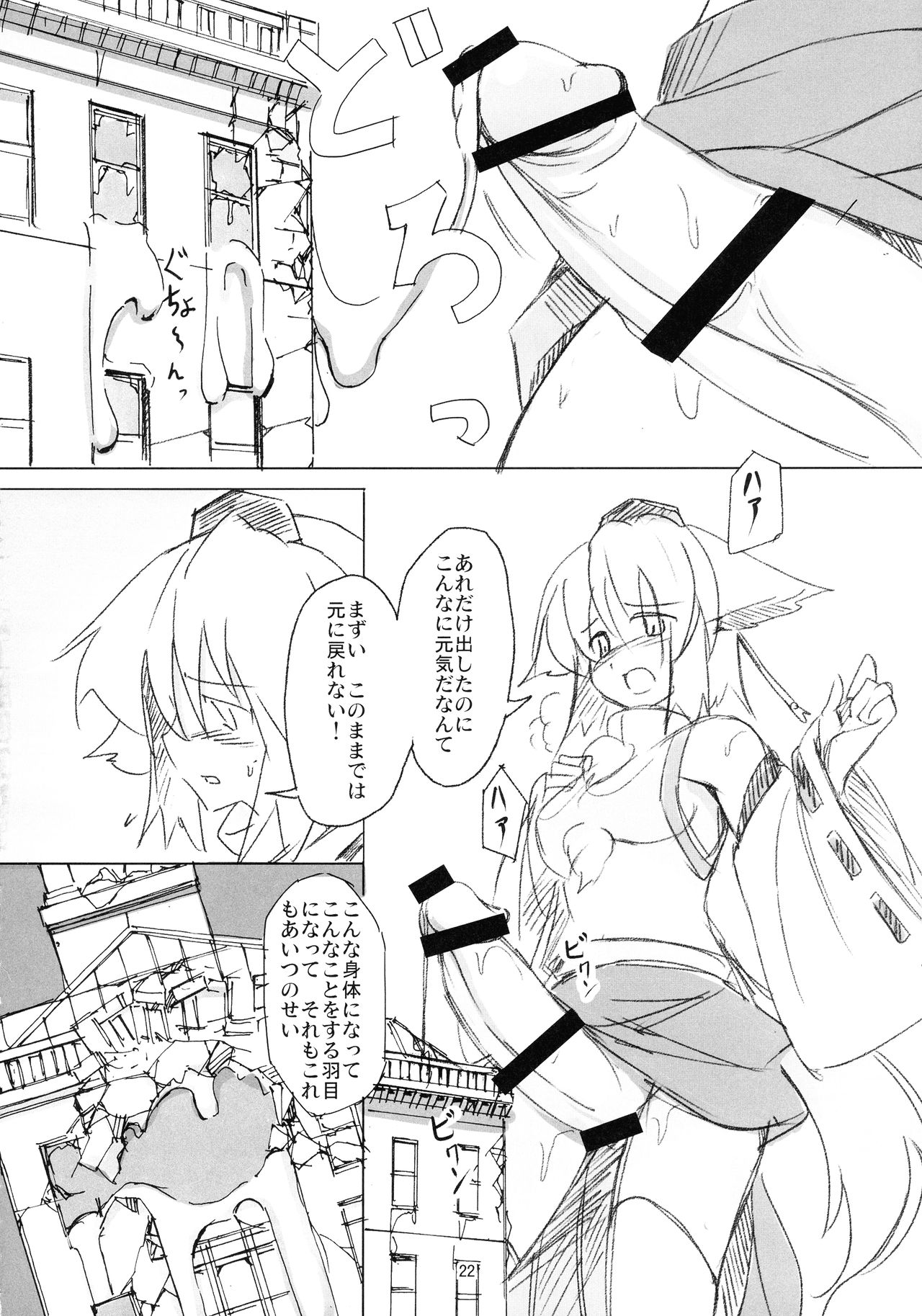 (例大祭14) [TEDDY-PLAZA (瀬尾辰也)] 射命丸教授の比率的愛情 (東方Project)