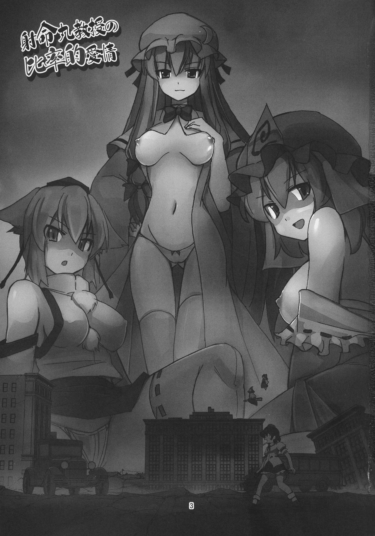 (例大祭14) [TEDDY-PLAZA (瀬尾辰也)] 射命丸教授の比率的愛情 (東方Project)