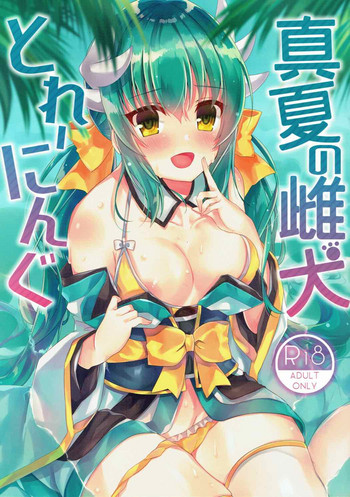 (C92) [Lolli*PoP (ななはち)] 真夏の雌犬とれーにんぐ (Fate/Grand Order)