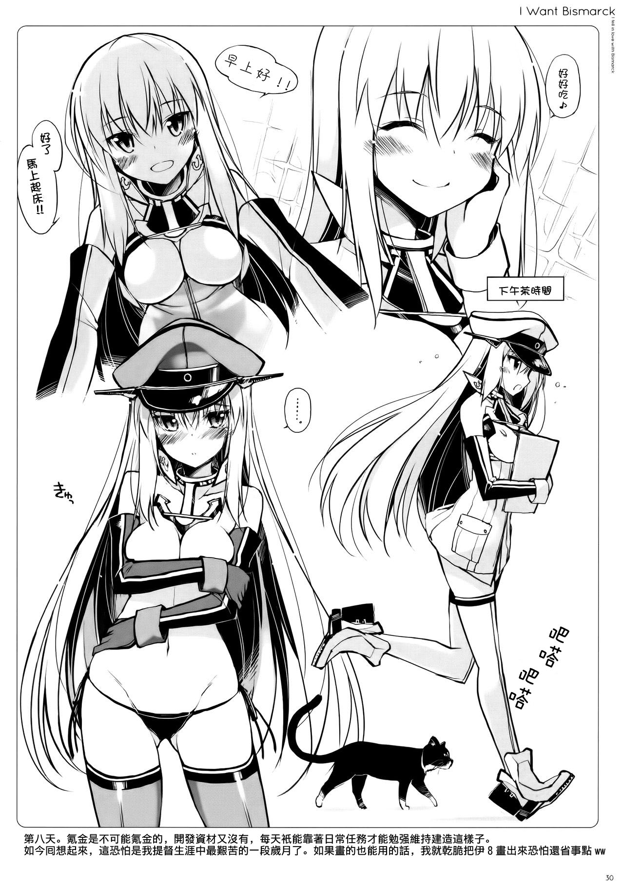 (C87) [Digital Flyer (大田優一)] ビスコレ -Bismarck Collection 2014- (艦隊これくしょん -艦これ-) [中国翻訳]