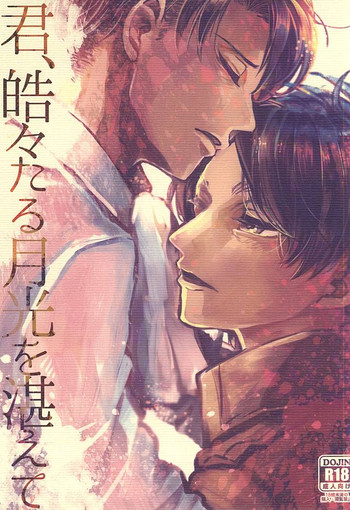 (急襲壁外調査博) [ROT (初)] 君、皓々たる月光を湛えて (進撃の巨人)