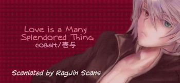 (SUPER関西16) [cobalt (壱与)] 然る可き相関 (ブレイブルー) [英訳]