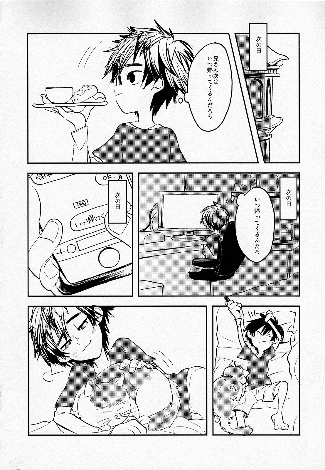 (CC東京137) [69HB (あびお)] 天才兄弟の崩壊しないヒエラルキーについて (ベイマックス)