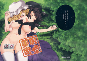 (例大祭13) [運命のイカスミ (春雨)] 夢現密姦 (東方Project)