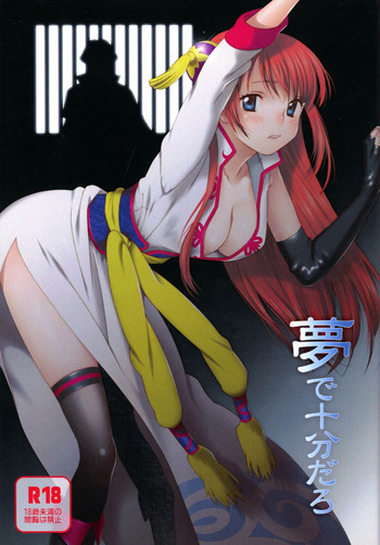 (かぶき町大集会) [S-FLAKE (ゆきみつ)] 夢で十分だろ (銀魂)