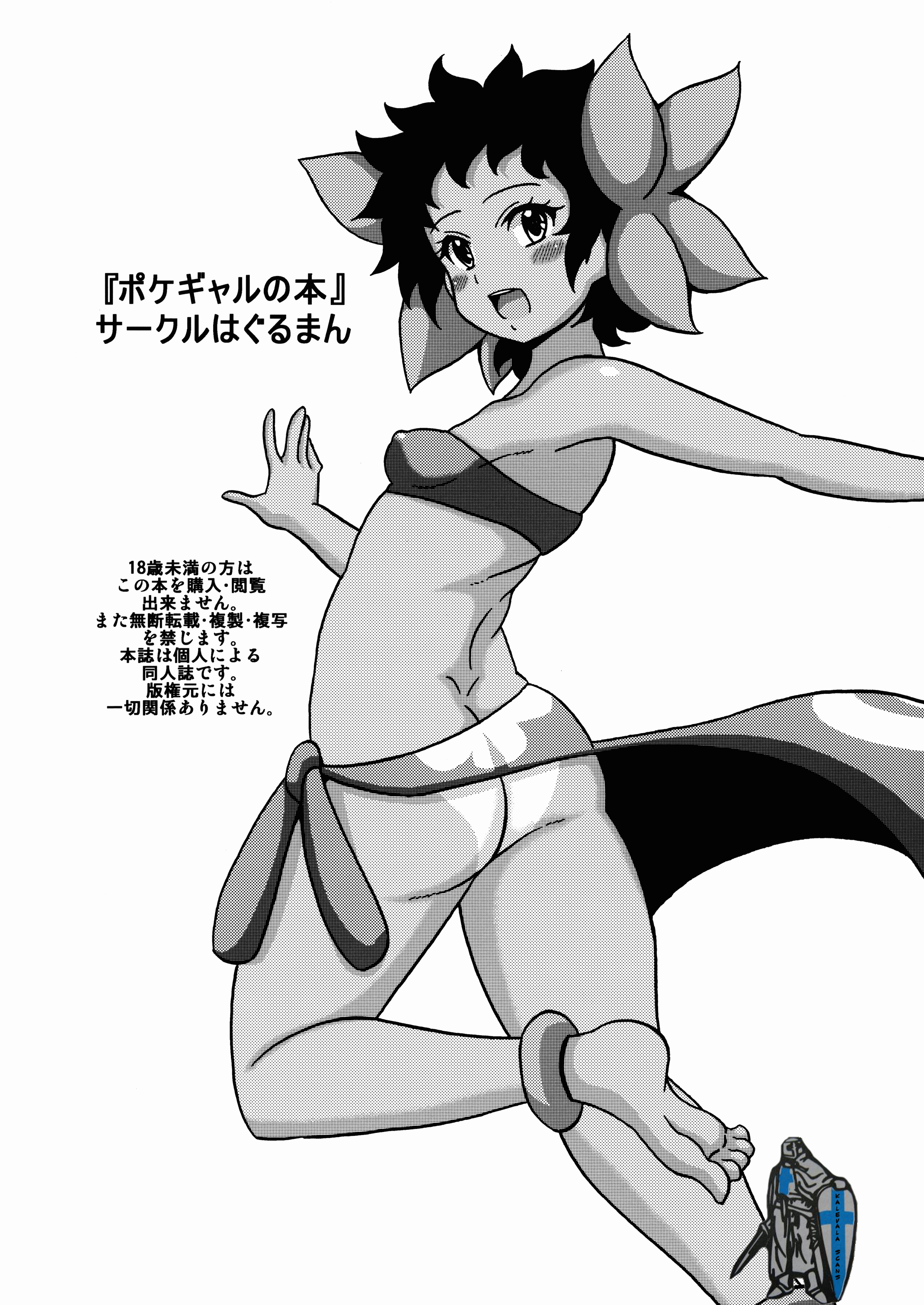 (C88) [はぐるまん (コウタロス)] ポケギャルの本 (ポケットモンスター)