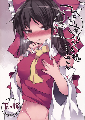 (C88) [サンセットビーチ (ハマー)] ひとりあそび幻想 3ねんめ (東方Project)