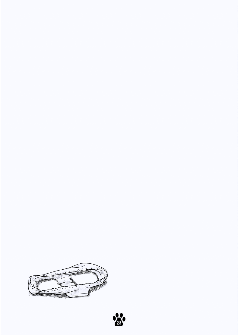 [いぬのせかい (犬嵐)] めいことわくわく性教育 [DL版]