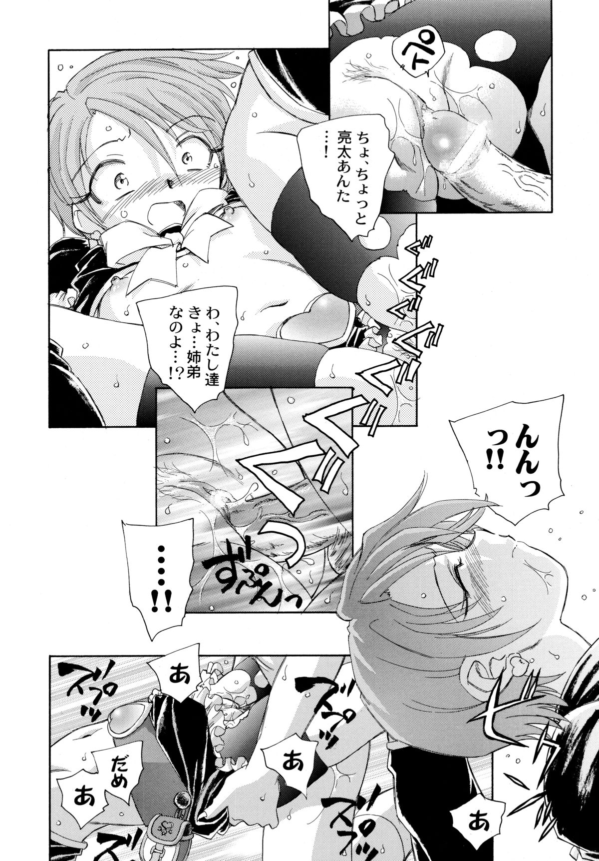 (C70) [黒鹿亭 (海野螢)] やっぱりなぎほの (ふたりはプリキュア)