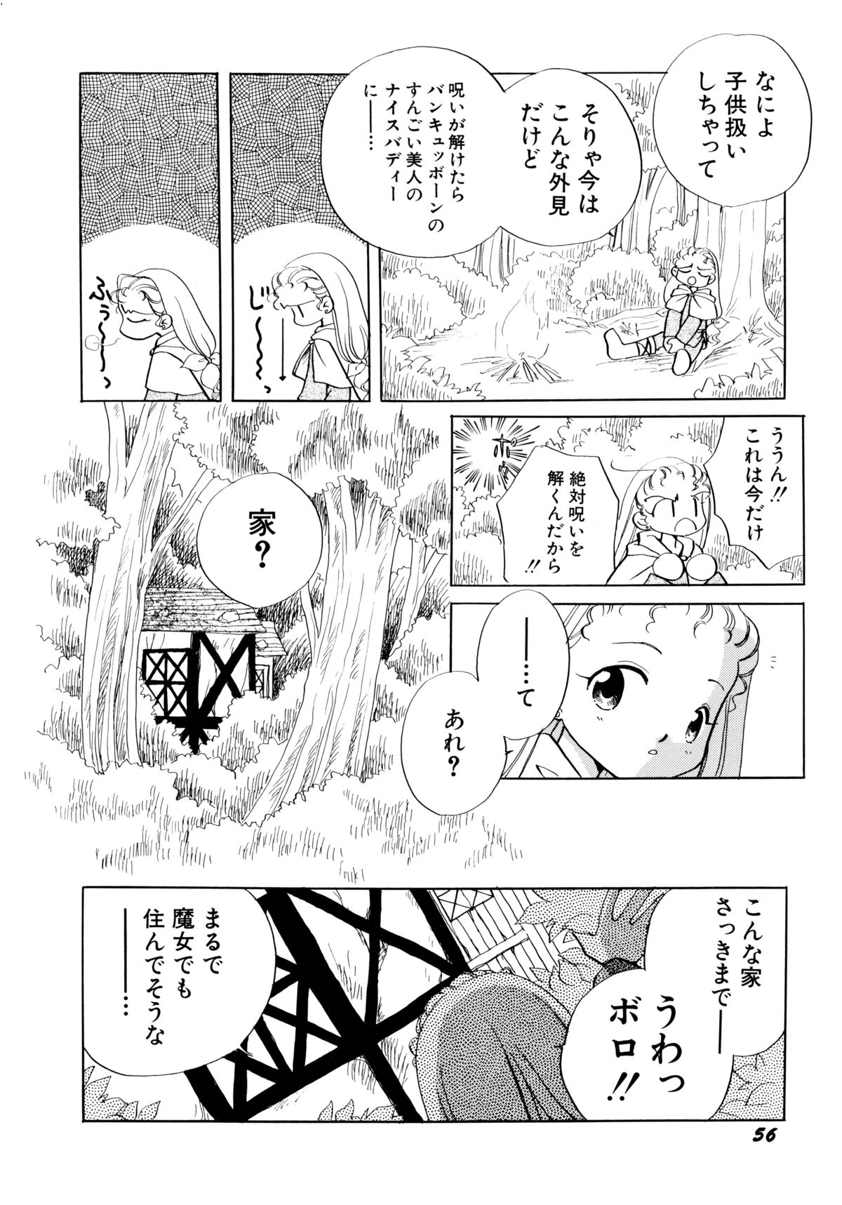 [流星ひかる] とくべつな日