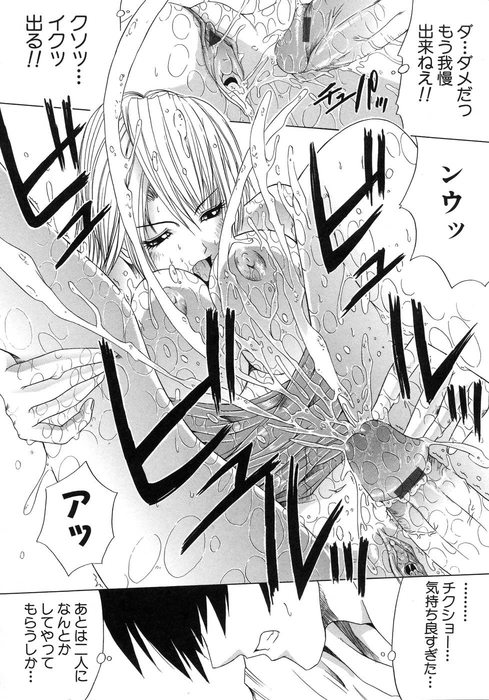 [天宮耀] 青葉木菟