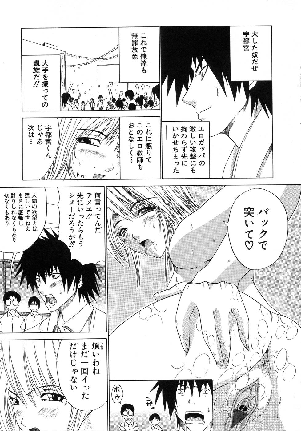 [天宮耀] 青葉木菟