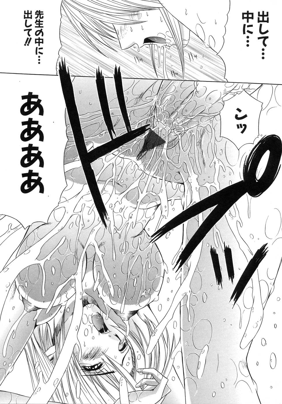 [天宮耀] 青葉木菟