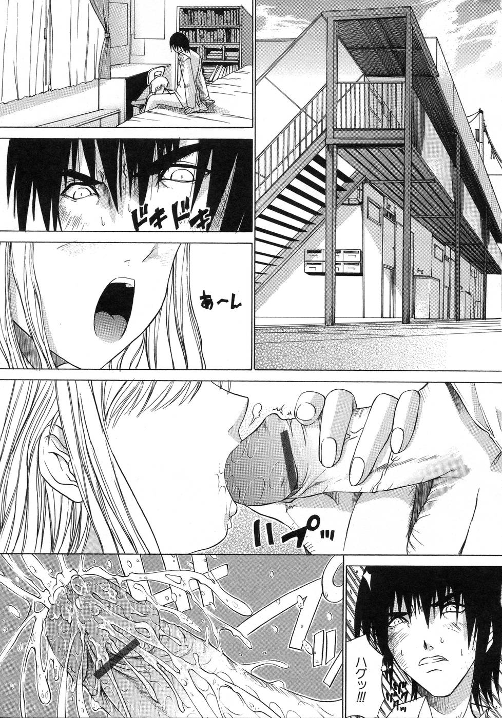 [天宮耀] 青葉木菟