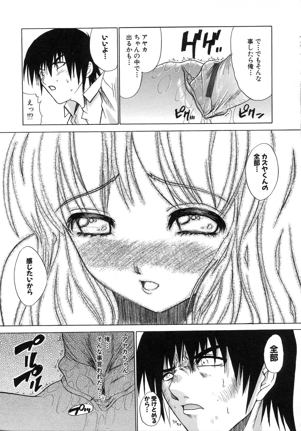 [天宮耀] 青葉木菟