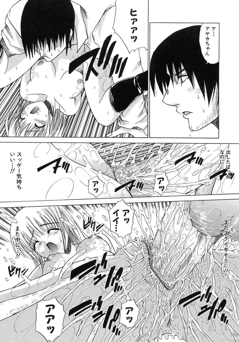 [天宮耀] 青葉木菟