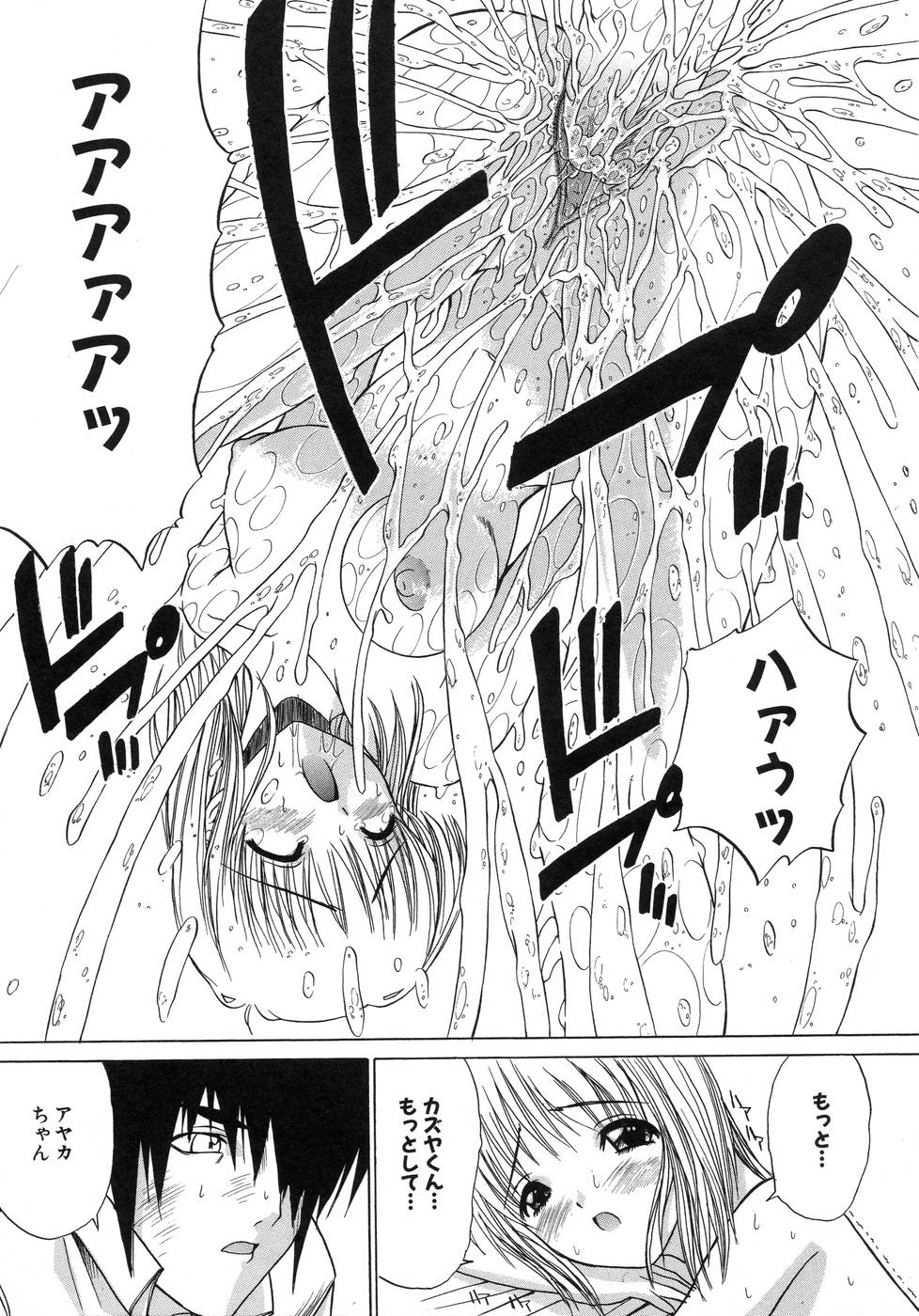 [天宮耀] 青葉木菟