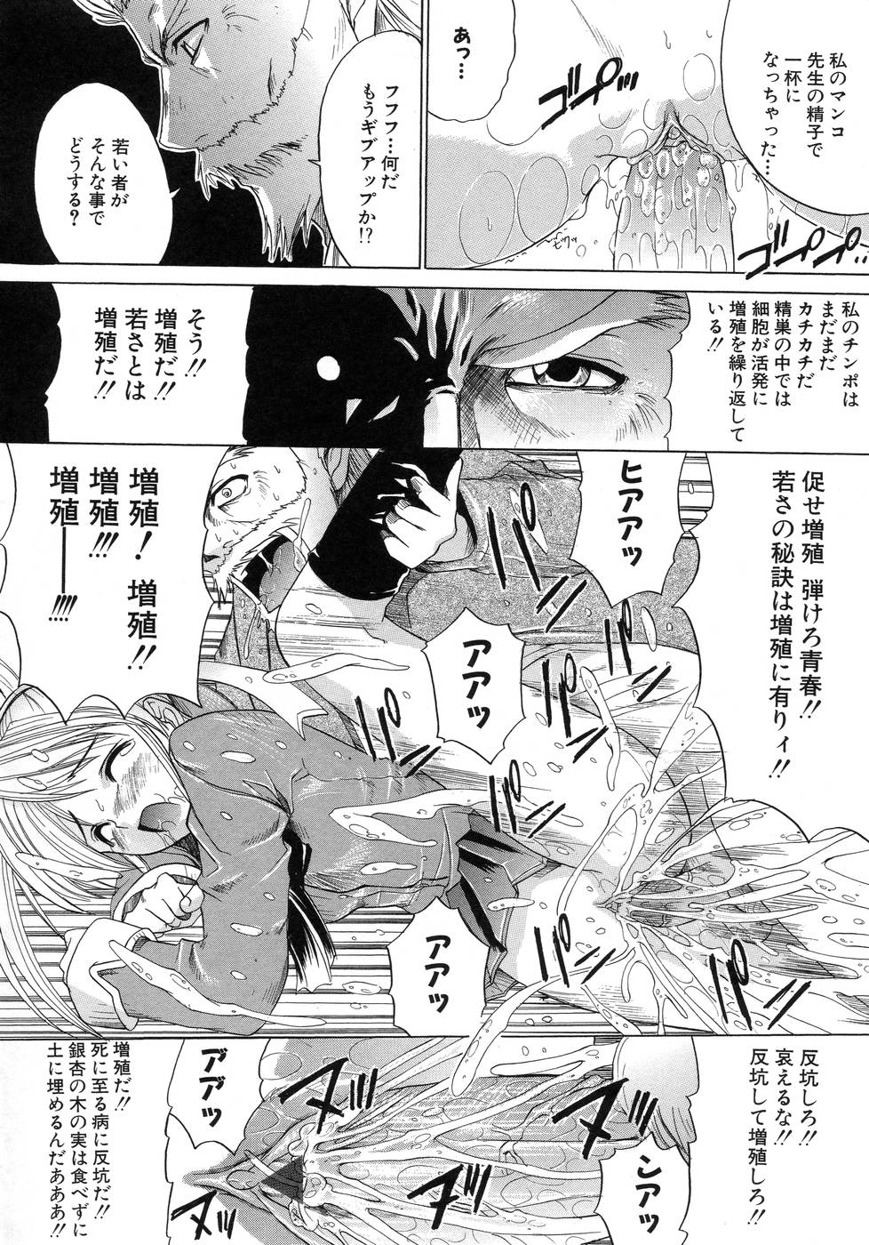 [天宮耀] 青葉木菟