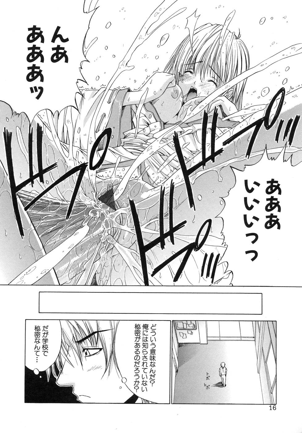 [天宮耀] 青葉木菟