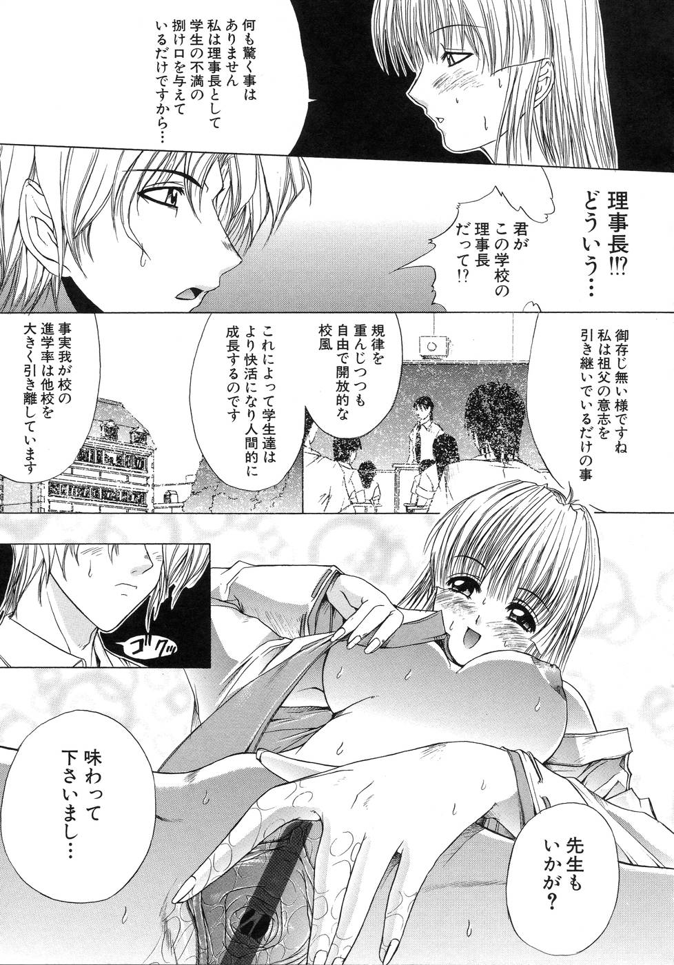 [天宮耀] 青葉木菟