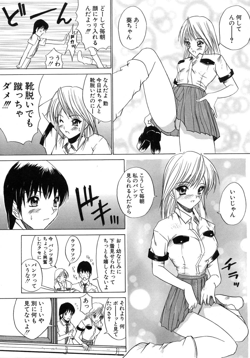 [天宮耀] 青葉木菟