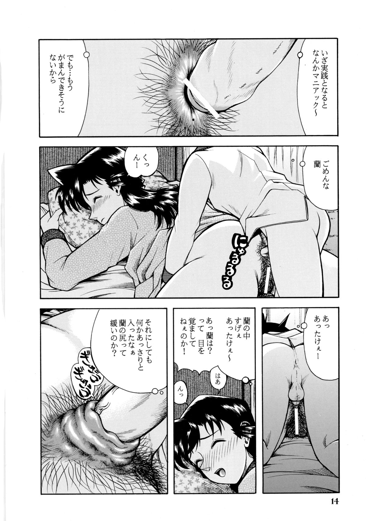 (C67) [ANA (吉祥寺北四郎)] 蘭姉ちゃんと一緒 (名探偵コナン)