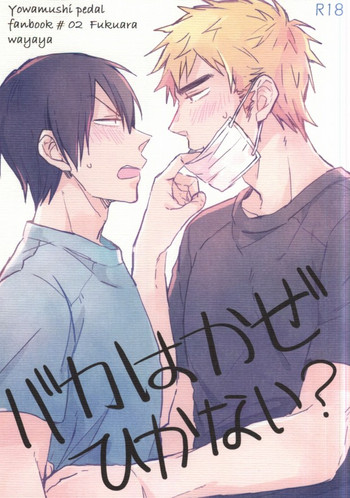 (C87) [ワヤ屋 (ワヤ)] バカはかぜひかない? (弱虫ペダル)