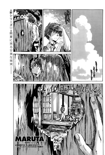 [MARUTA] 色は匂へど散らざるを