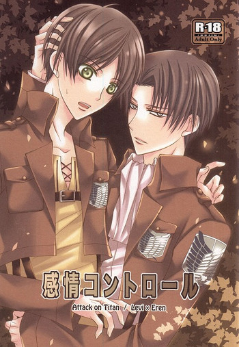 (C87) [DARK-OCEAN (高城紫水)] 感情コントロール (進撃の巨人)