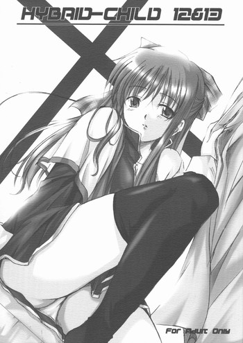 (サンクリ16) [しるまりる (綾風柳晶)] HYBRID-CHILD 12&13 (カノン)