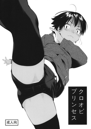 (C87) [ぐる～ぷひのらん (わんぱく)] クロオビプリンセス + コミティア112ペーパー