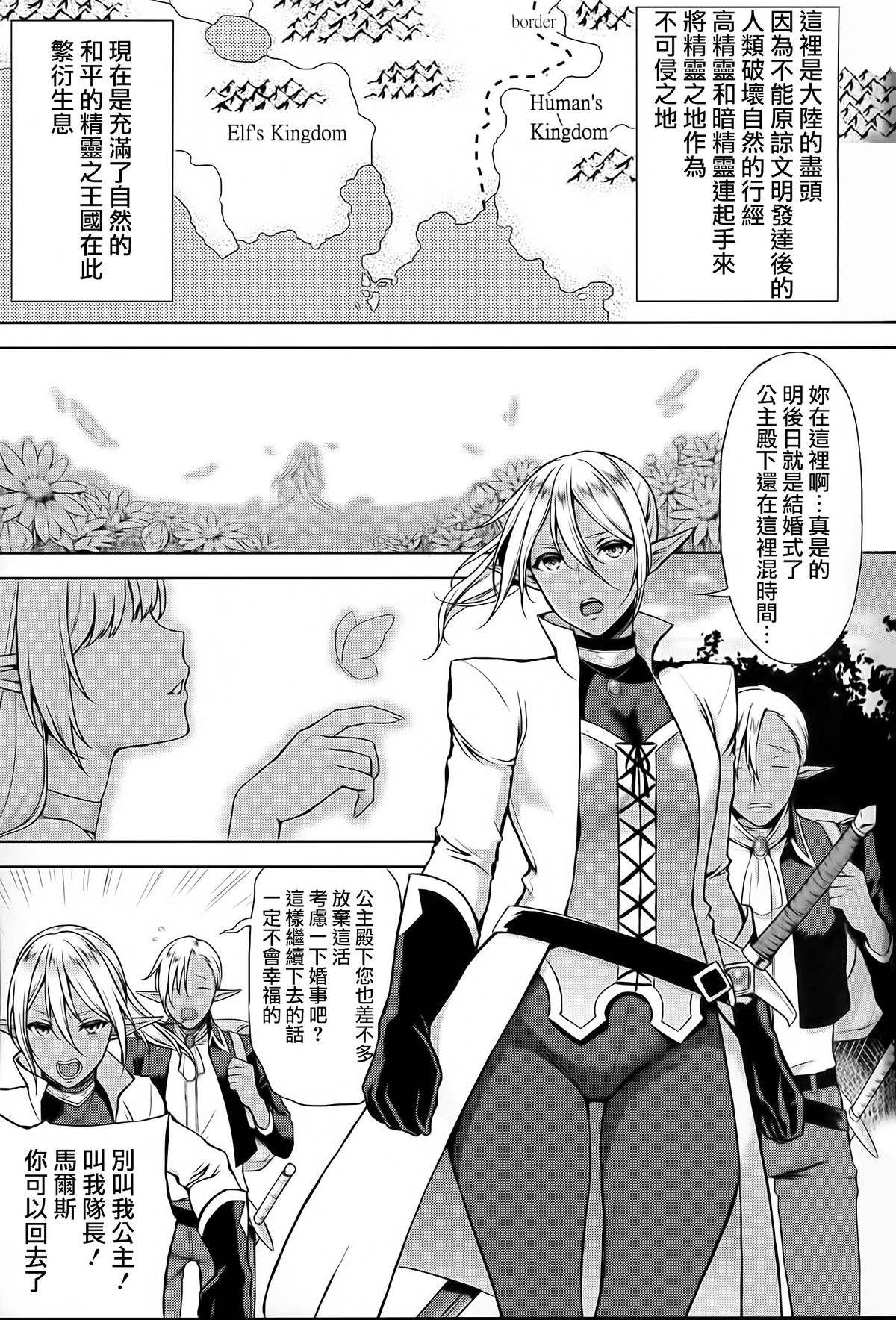 (C87) [H.B.A (うさぎなごむ)] エルフの姫は快楽に哭く [中国翻訳]