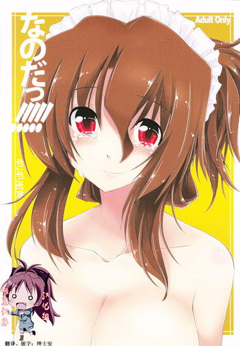 (C78) [ギリギリ虹色 (上乃龍也)] なのだっ!!!!! (ハヤテのごとく！) [中国翻訳]