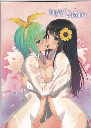 (C86) [T2 ART WORKS (Tony)] Tony's 改造note