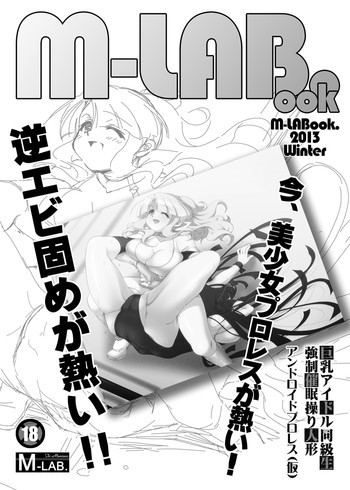 【M-LAB。】M-LABook.2013冬DL版