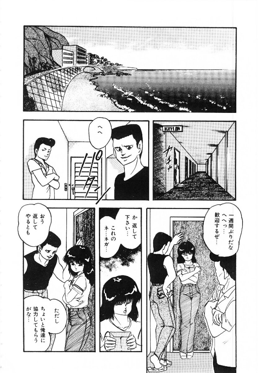 [上総志摩] コットンハウスの夢物語