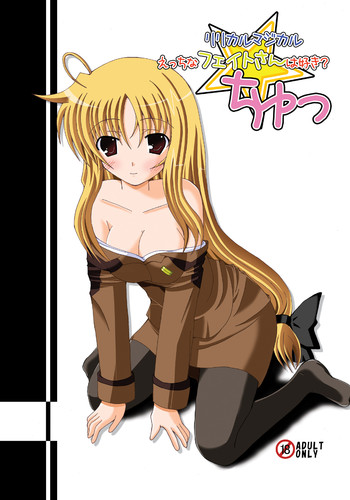 [ドリームプロジェクト (夢ノ紫也)] リリカルマジカルえっちなフェイトさんは好き？ちゅっ (魔法少女リリカルなのは)