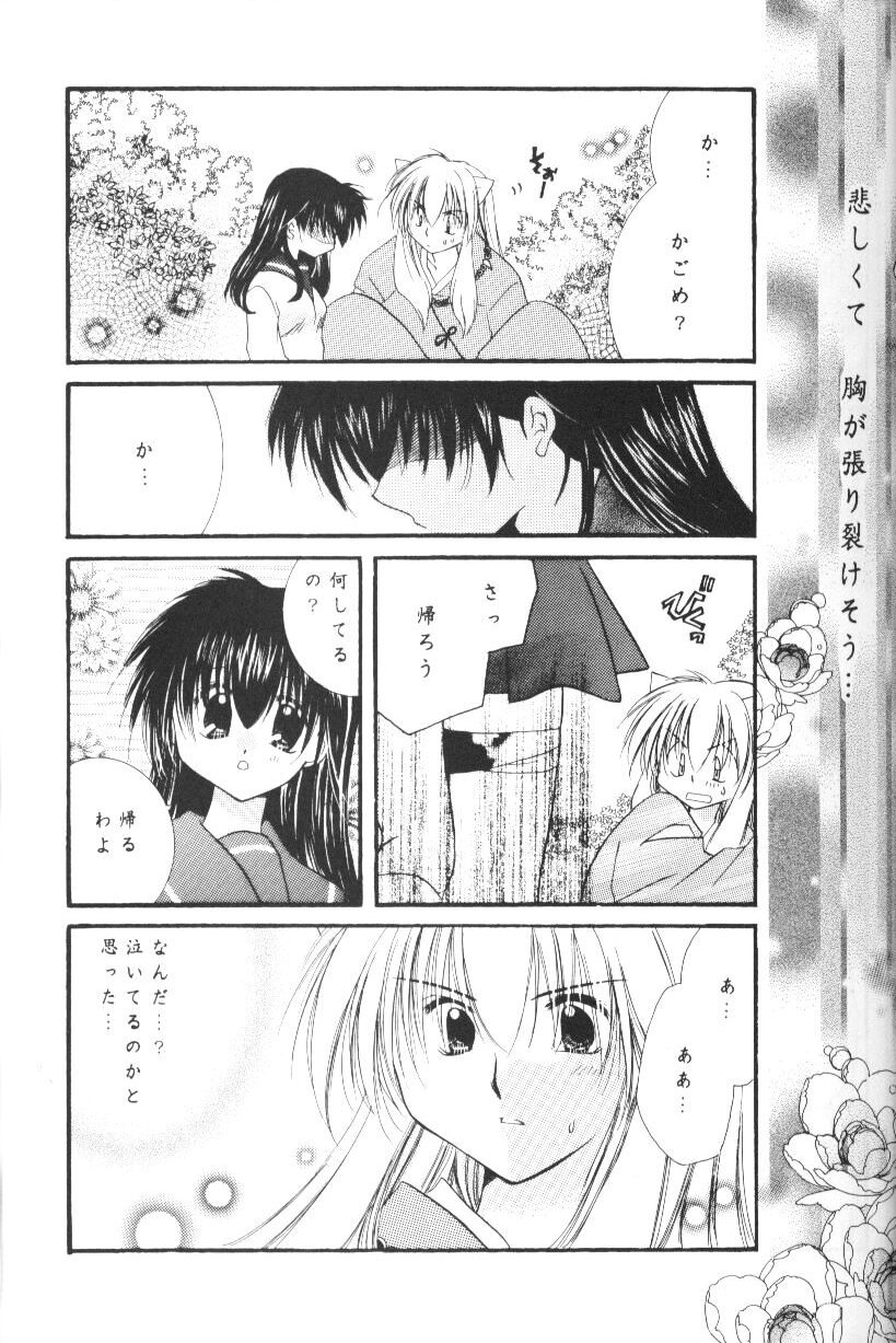 (Cレヴォ33) [桜館 (芹桜さくら)] 星屑ドロップ (犬夜叉)