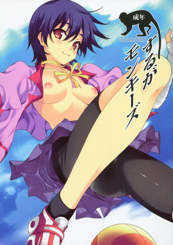 (COMIC1☆5) [恋愛漫画家 (鳴瀬ひろふみ)] するがモンキーズ (化物語)