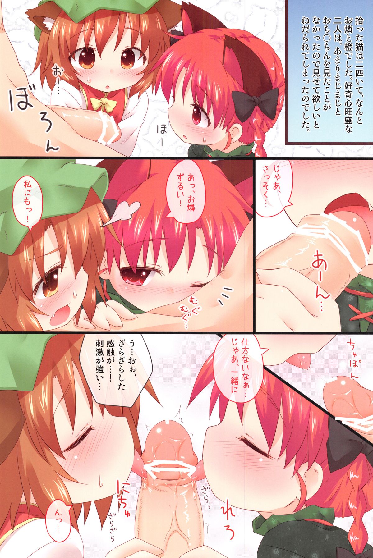 (例大祭9) [がいなもん (夏の紅茶)] 道端で猫を拾いました。 (東方Project)