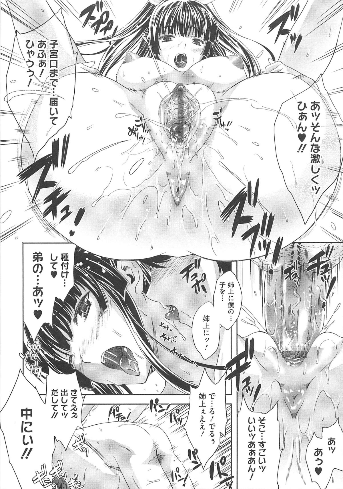 [七瀬瑞穂] あねまん