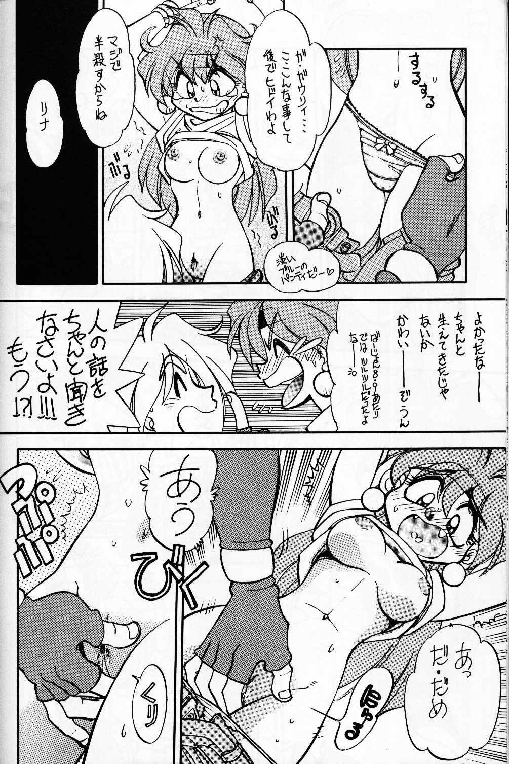 (C54) [中華饅頭 (八神大)] まんとう 14. (スレイヤーズ)