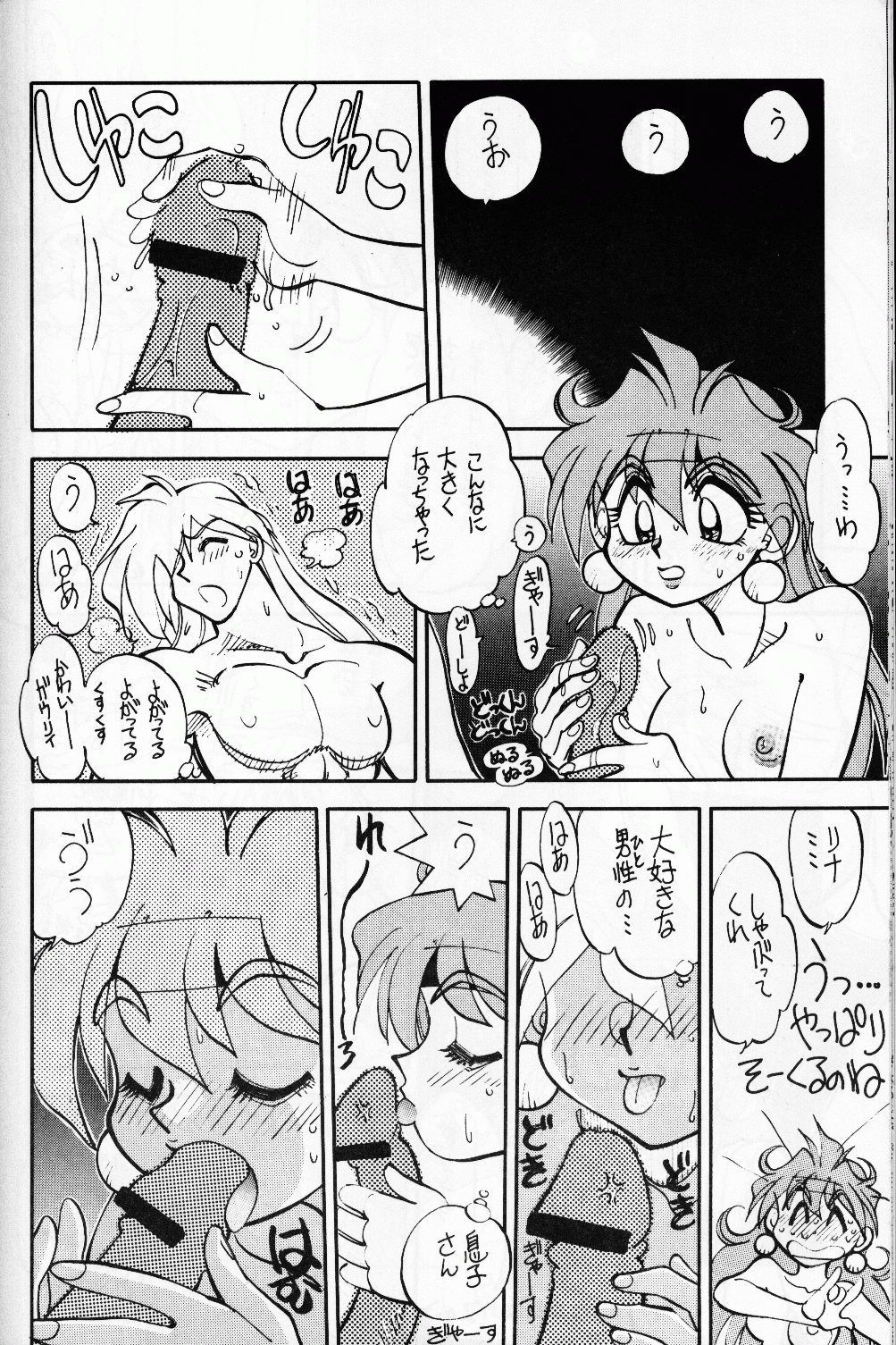 (C54) [中華饅頭 (八神大)] まんとう 14. (スレイヤーズ)