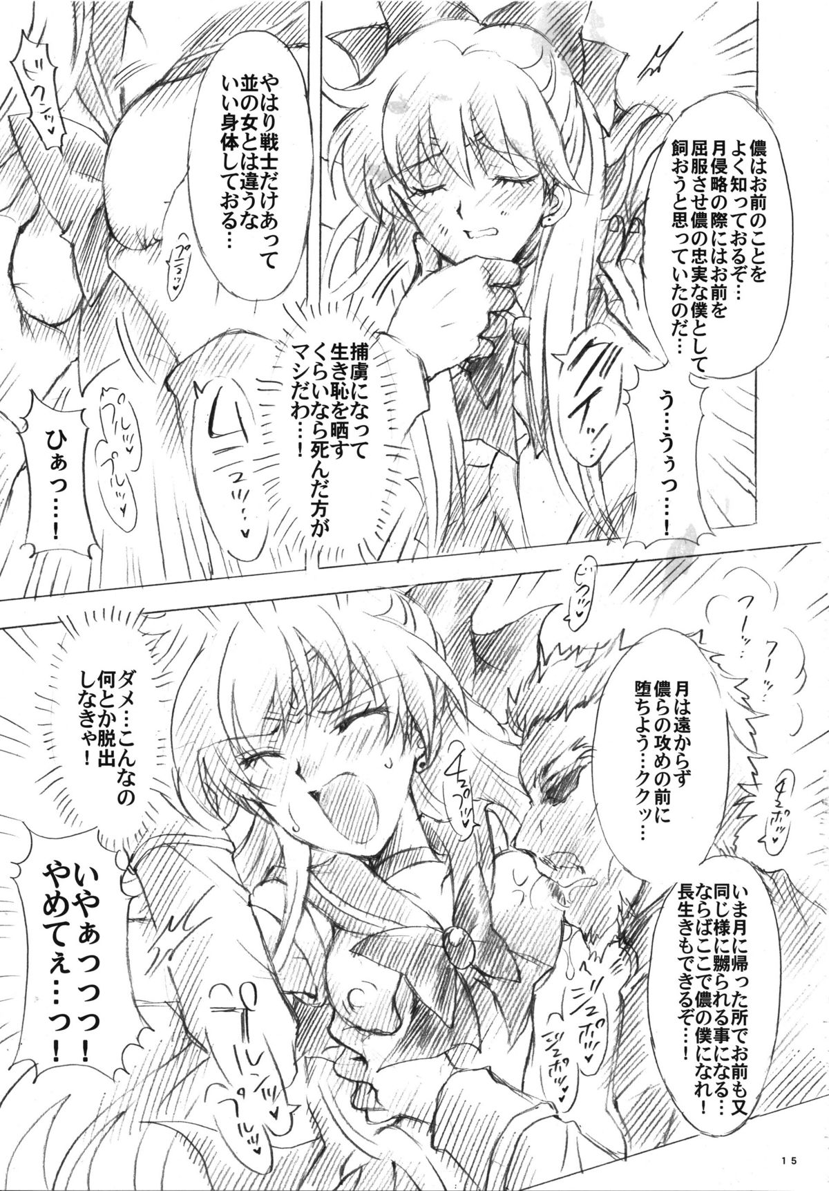 (C73) [小鳥事務所 (桜文鳥)] 犠牲と祈りを… (美少女戦士セーラームーン)