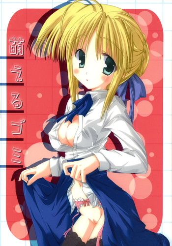 (サンクリ31) [萌雛化学 (雛祭桃子)] 萌えるゴミ (Fate/stay night)