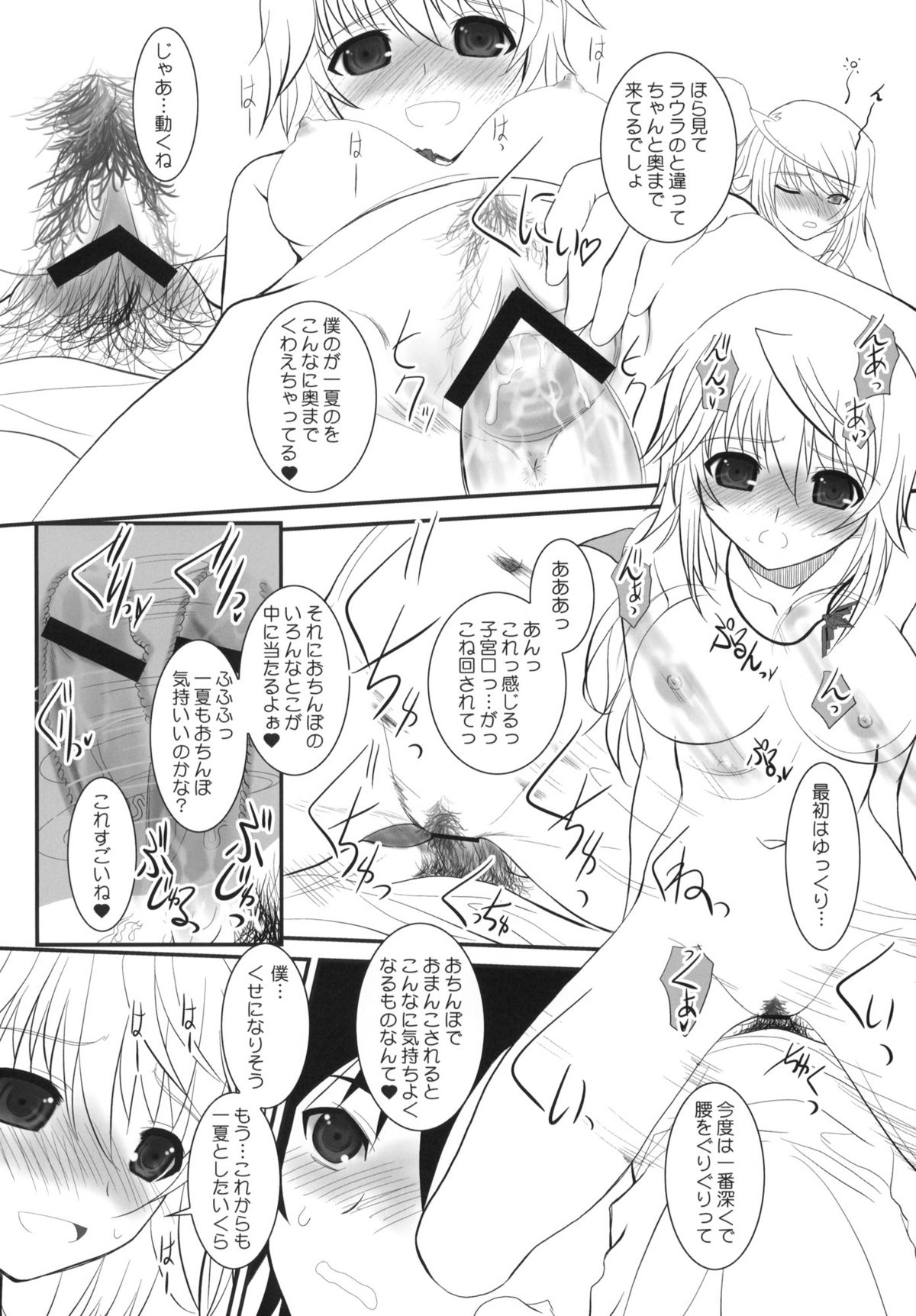 (COMIC1☆5) [ディエップ工房 (あるぴーぬ)] IS-LAND (インフィニット・ストラトス)